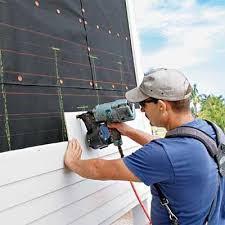 Best Steel Siding Installation  in Adrian, MN